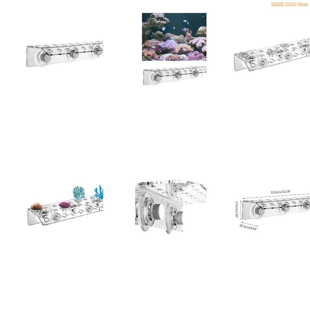 Reef Aquarium - K1AE Acrílico Coral Frag Rack para