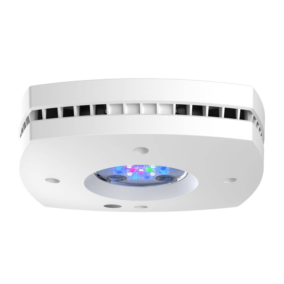 Reef Lighting - Luz de recife LED Prime 16