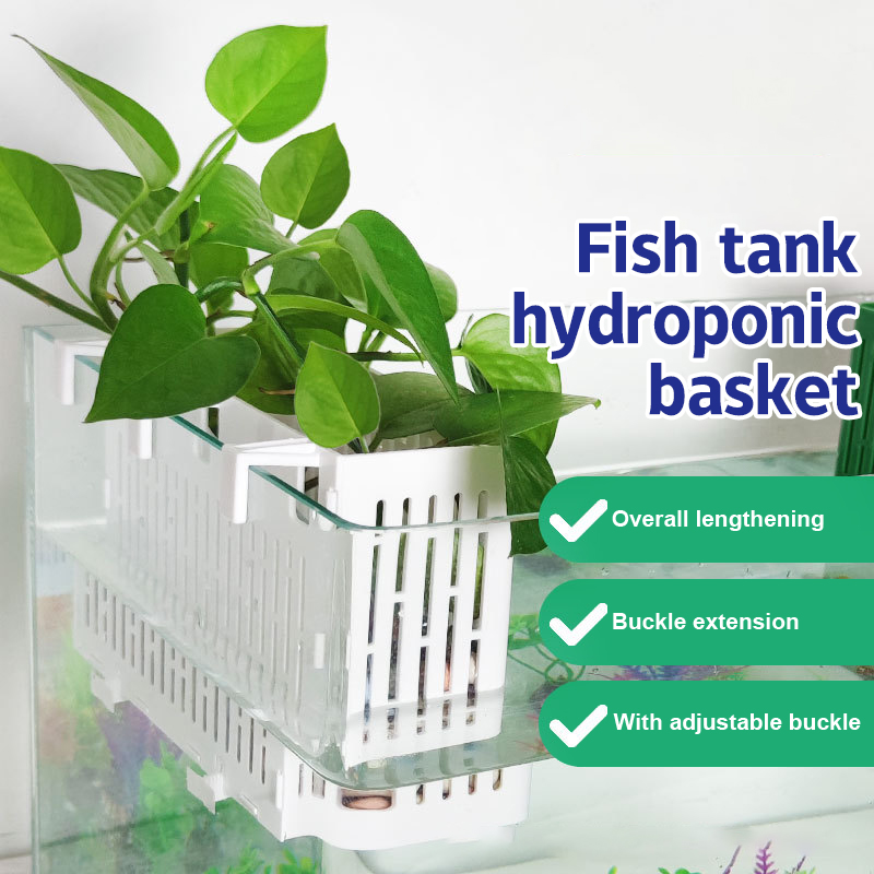 Marine Aquarium - 【F】Suporte Suspenso para Plantas Aquáticas em