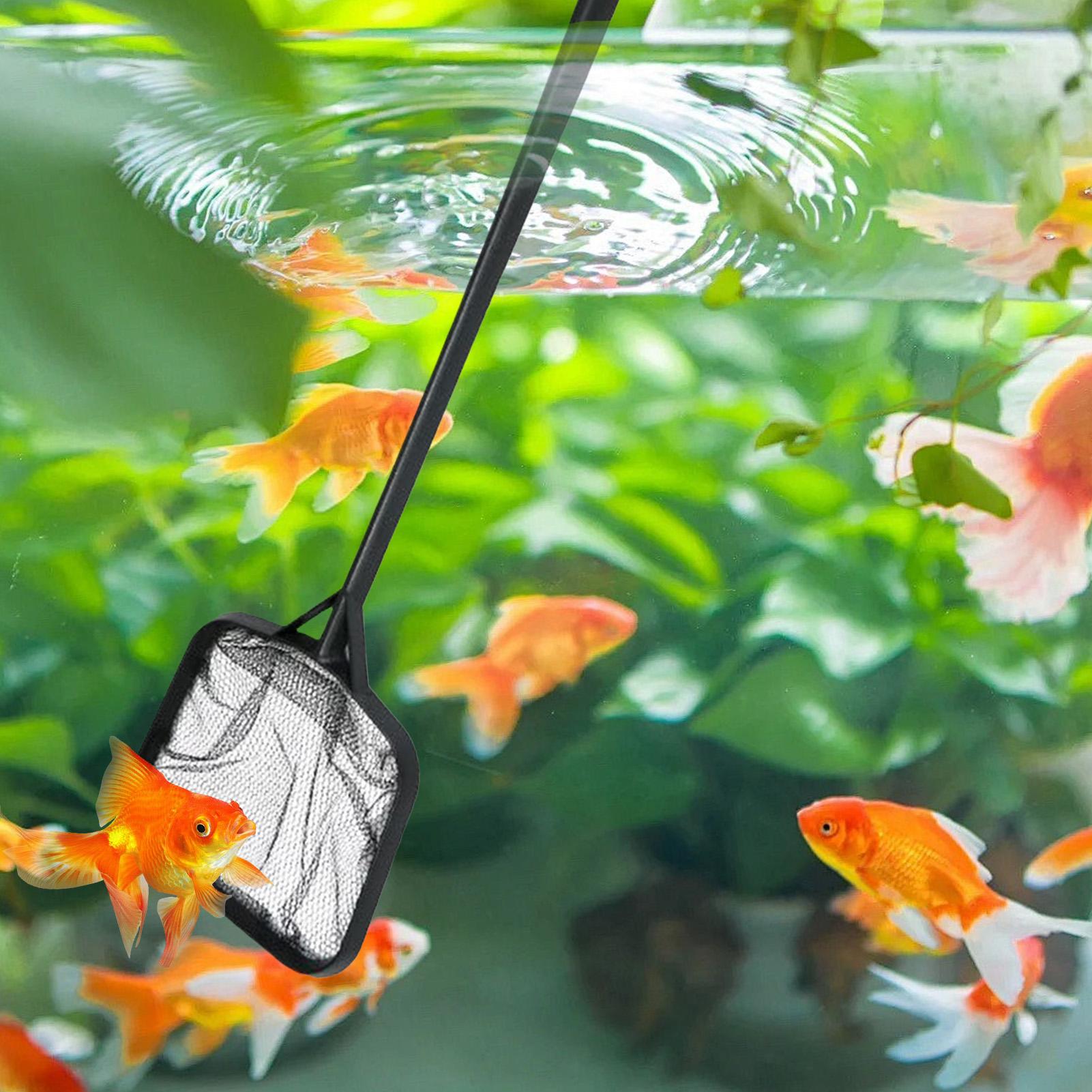 Redes para Limpeza de Piscinas - Marine Aquarium avaliação e preço