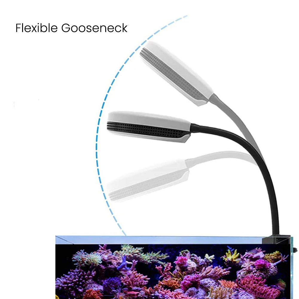 Luz LED para Aquário Spectra S - Saltwater Tank avaliação e preço