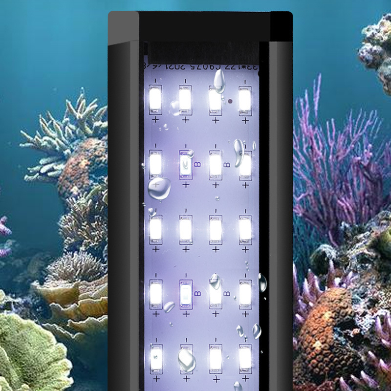 Luz LED Profissional para Aquá - Reef Lighting avaliação e preço