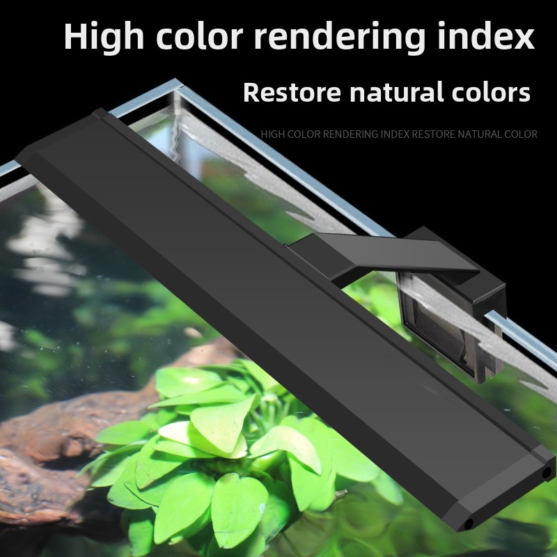 Luz LED Profissional para Aquá - Reef Lighting avaliação e preço
