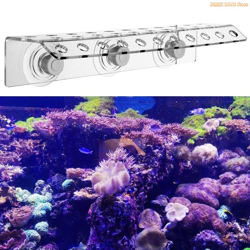 K1AE Acrílico Coral Frag Rack  - Reef Aquarium avaliação e preço