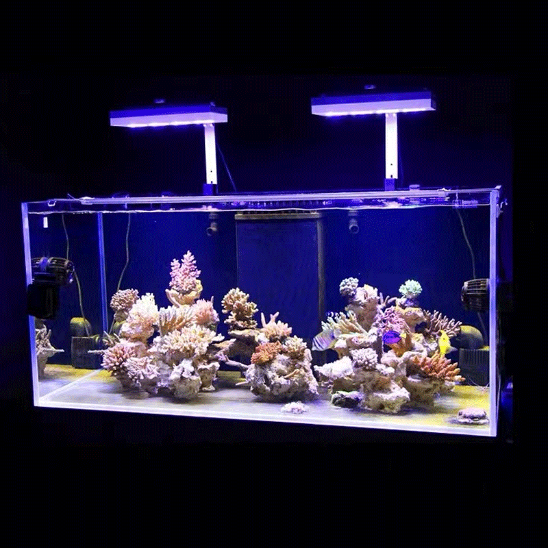 Aqua Lighting AI Hydra 32HD/64 - Reef Lighting avaliação e preço