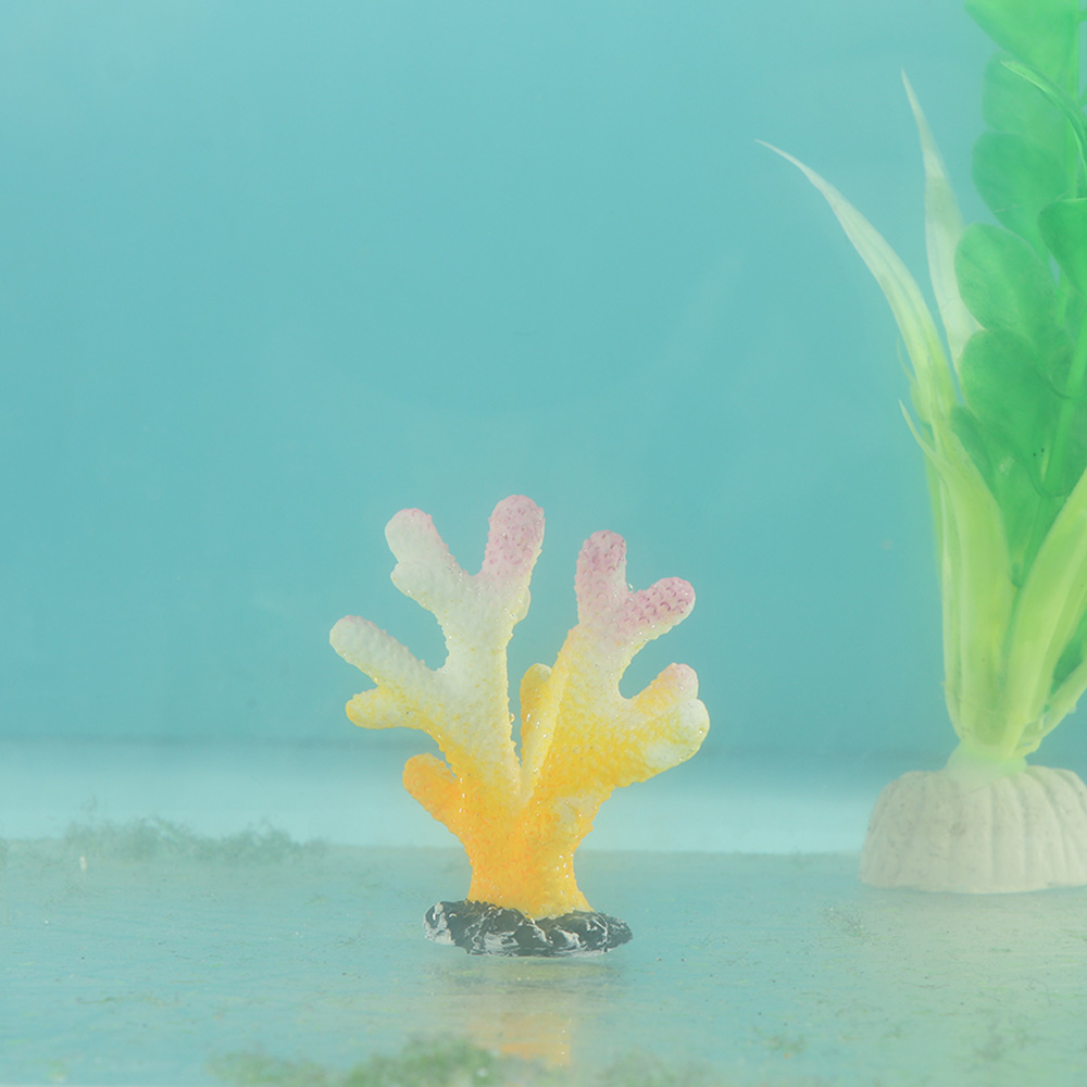 Ornamentos para tanque de peix - Reef Aquarium avaliação e preço