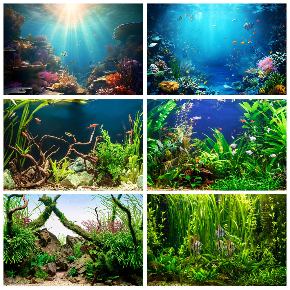 Sob o mar fundo do mundo fotog - Aquarium Marine World avaliação e preço