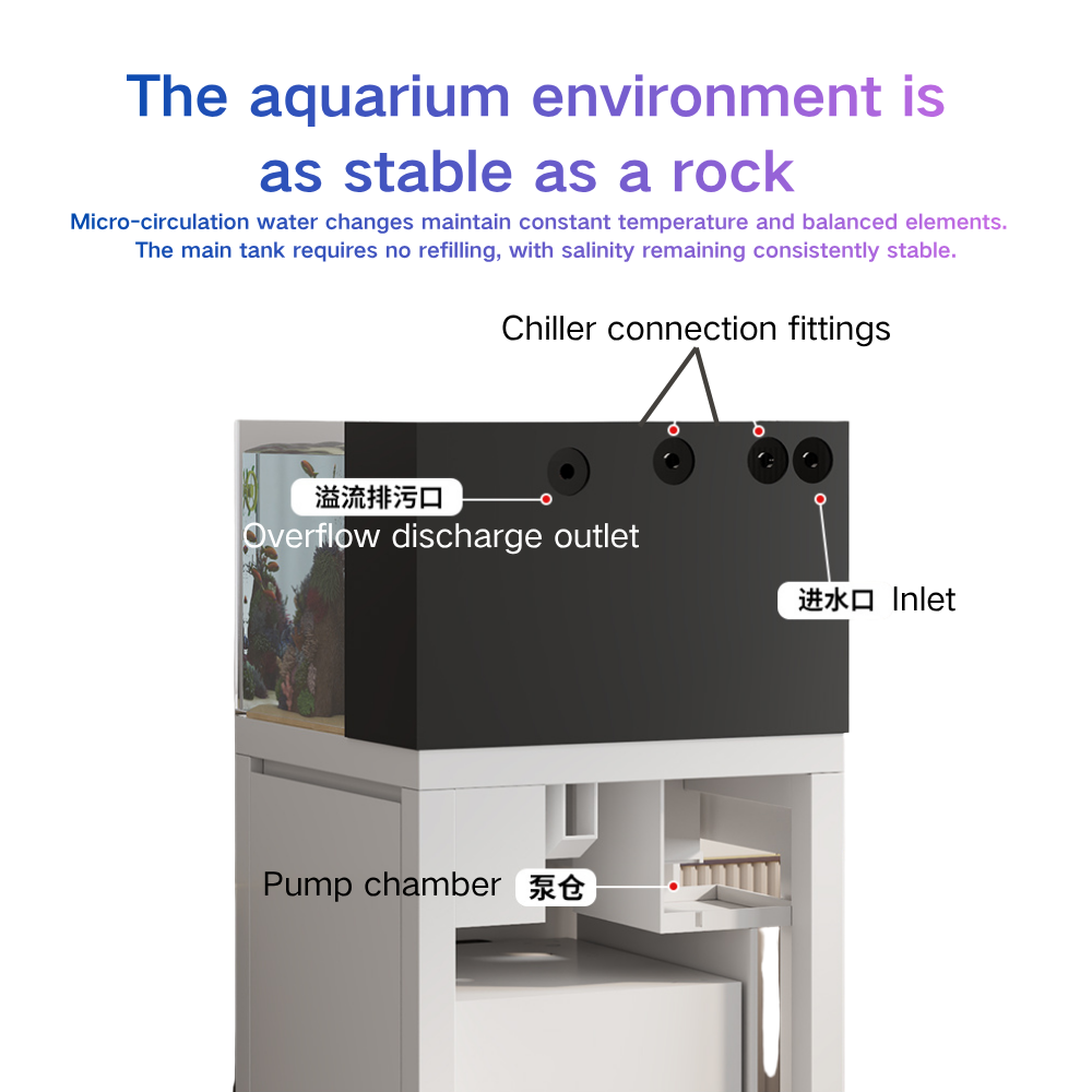 Aquário Inteligente Paopaoshar - Marine Aquarium Cube avaliação e preço