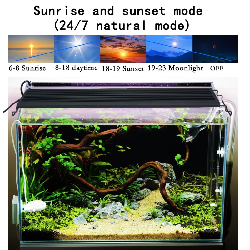 Luz LED para Aquário de Peixes - Reef Lighting avaliação e preço