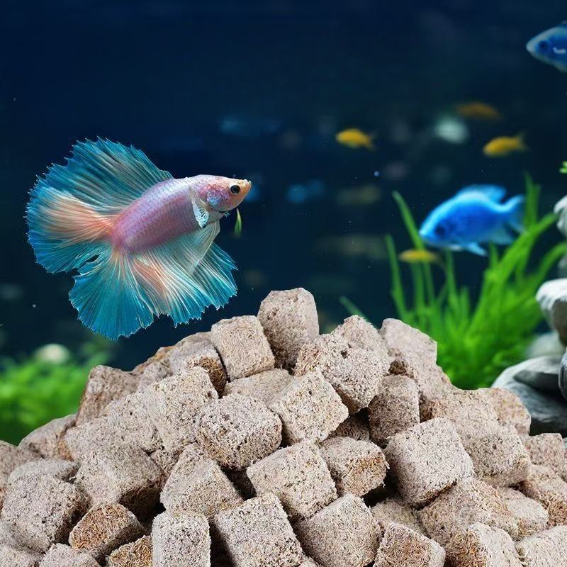 Natural liofilizado bloodworms - Marine Aquarium Cube avaliação e preço