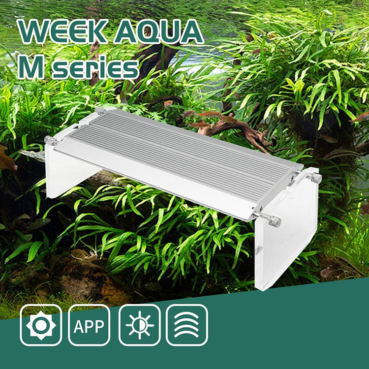 WEEK AQUA Luz LED Vívida para  - Reef Lighting avaliação e preço