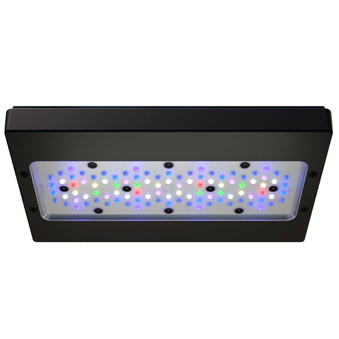 Luz LED para Aquário Marinho A - Reef Lighting avaliação e preço
