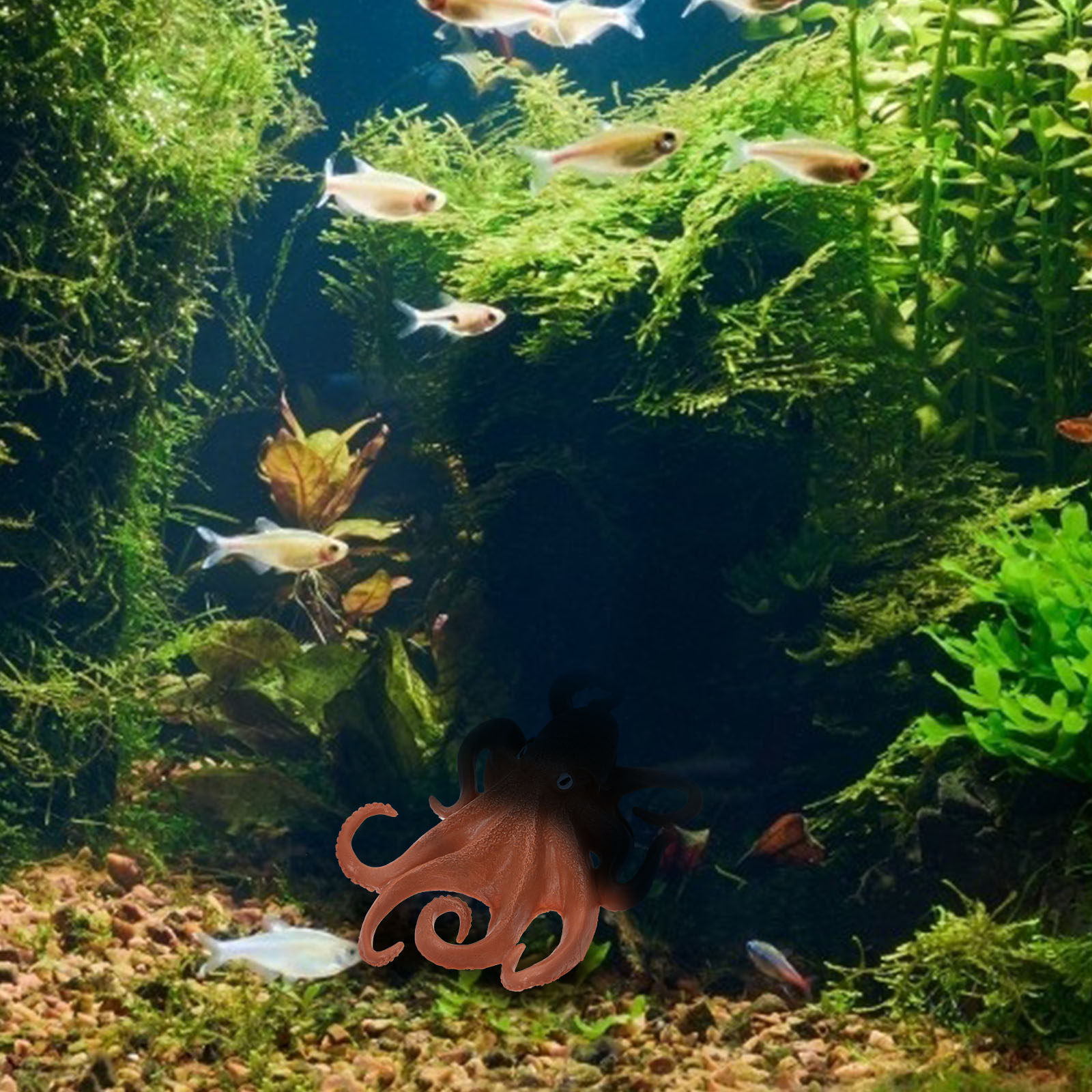 1 unidade de decoração de plás - Ocean Aquarium avaliação e preço